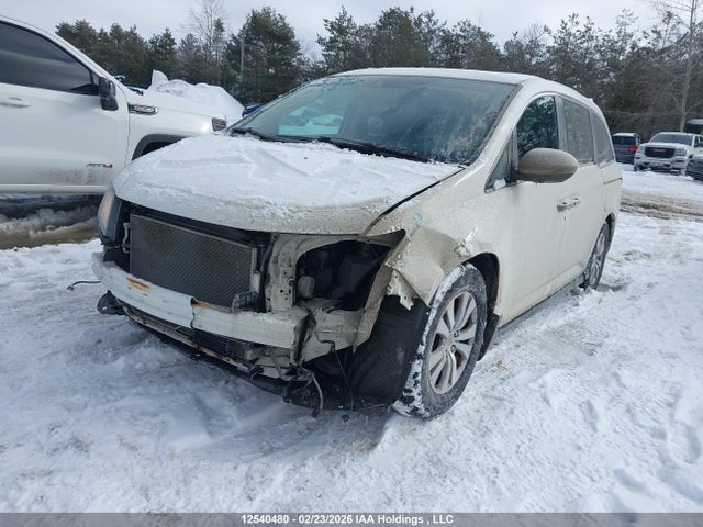 5FNRL5H62FB501230 Honda Odyssey Ex-l