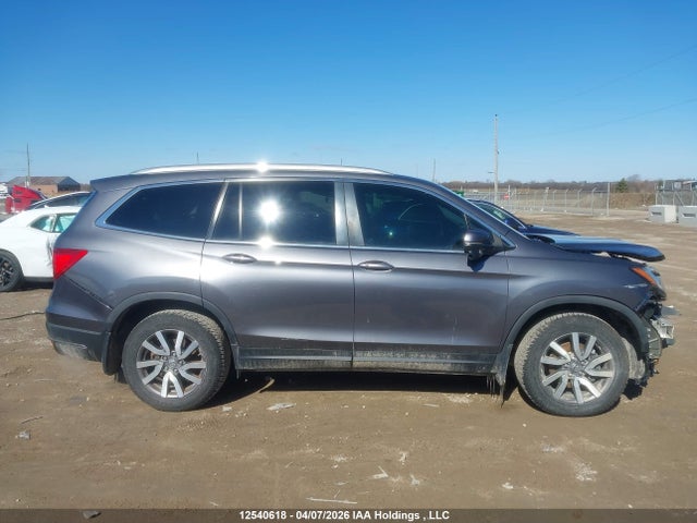5FNYF6H79KB500328 Honda PILOT EXL