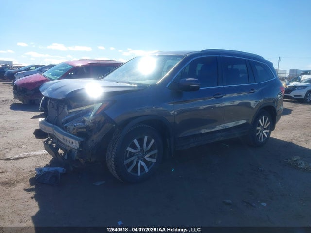5FNYF6H79KB500328 Honda PILOT EXL