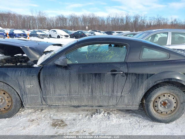 2009 Ford Mustang V6 მანქანა იყიდება აუქციონზე, vin: 1ZVHT80N495122099, აუქციონის ნომერი: 12540685