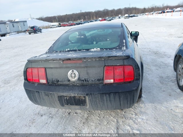 2009 Ford Mustang V6 მანქანა იყიდება აუქციონზე, vin: 1ZVHT80N495122099, აუქციონის ნომერი: 12540685