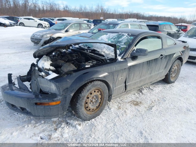 2009 Ford Mustang V6 მანქანა იყიდება აუქციონზე, vin: 1ZVHT80N495122099, აუქციონის ნომერი: 12540685