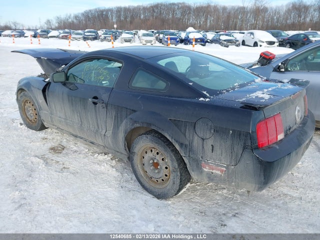 2009 Ford Mustang V6 მანქანა იყიდება აუქციონზე, vin: 1ZVHT80N495122099, აუქციონის ნომერი: 12540685