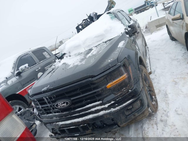 Ford F-150 Xlt 2025 1FTEW3LP7SKD98409 Image 11