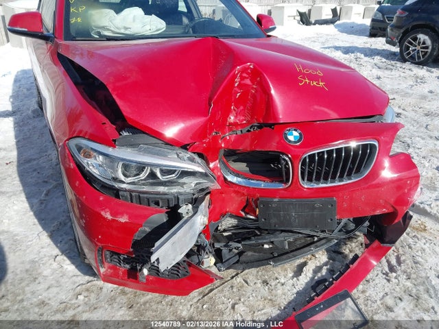 WBA1G9C52GV599165 BMW 228 Xi Sulev