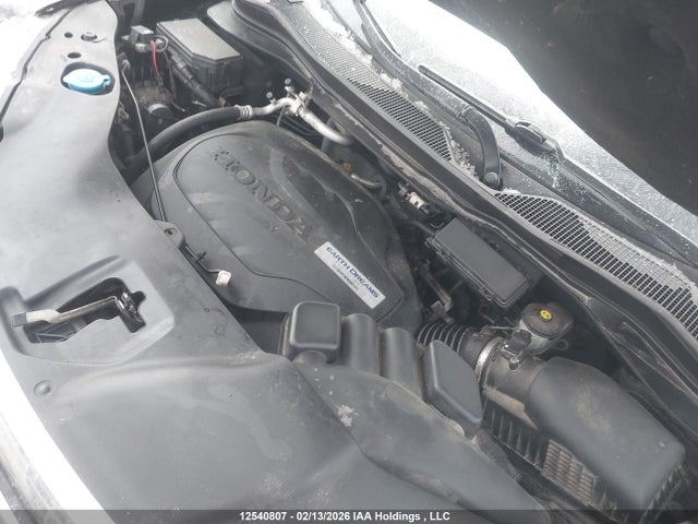 5FNYF6H55GB507668 Honda Pilot