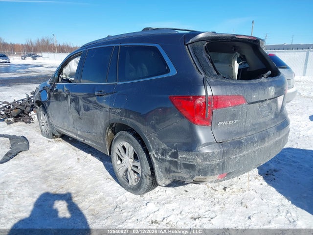 5FNYF6H57GB510698 Honda PILOT EXL