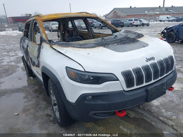 1C4PJMBXXLD539154 Jeep Cherokee Trailhawk
