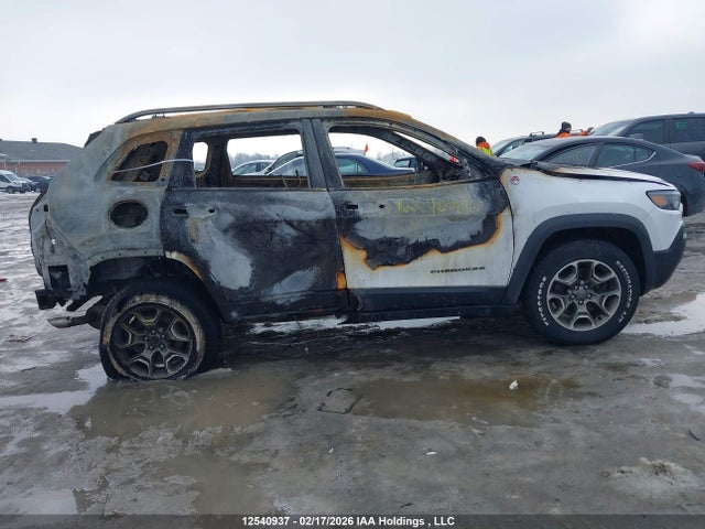 1C4PJMBXXLD539154 Jeep Cherokee Trailhawk