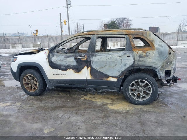 1C4PJMBXXLD539154 Jeep Cherokee Trailhawk