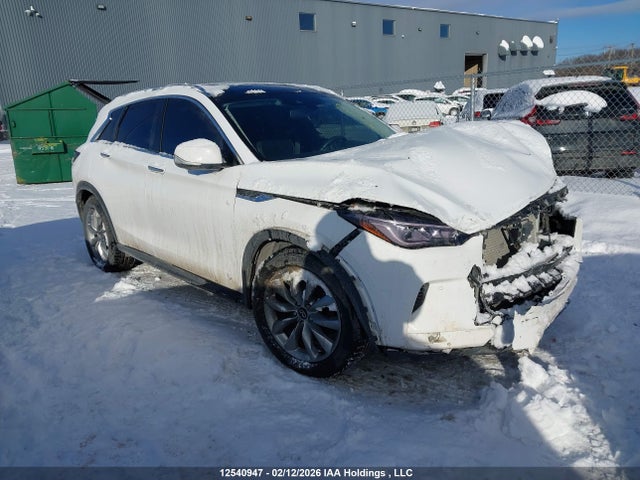 Infiniti Qx50 Essential/essential Tech/sensory 2021 3PCAJ5CB2MF122393 главное изображение