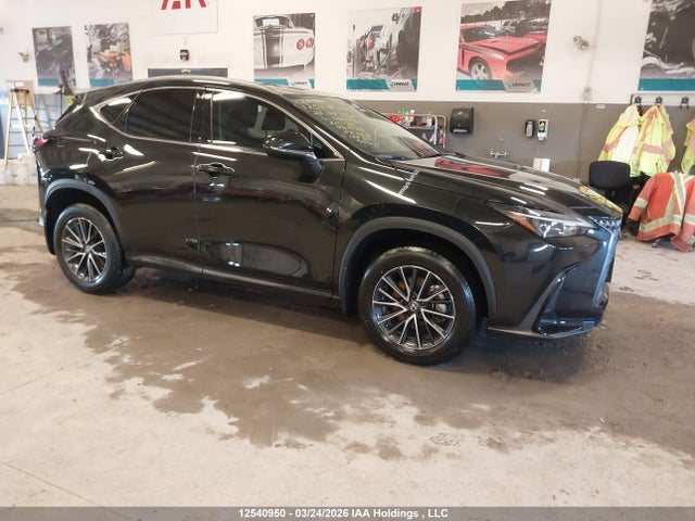 2T2GGCEZ3RC059786 Lexus Nx 350 Premium