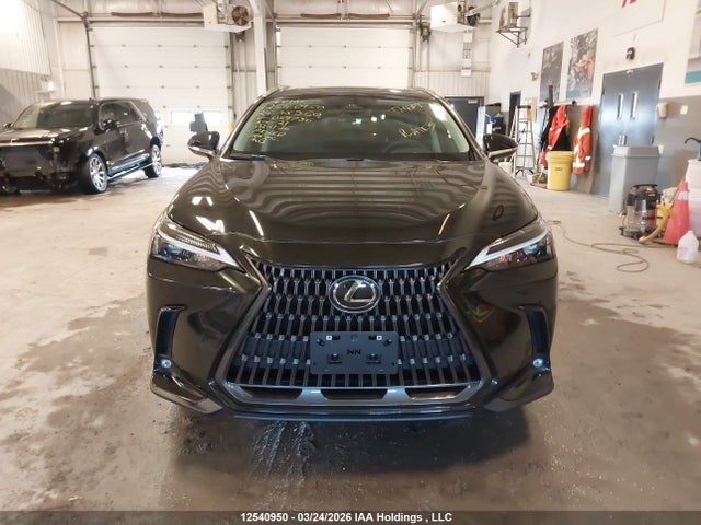 2T2GGCEZ3RC059786 Lexus Nx 350 Premium