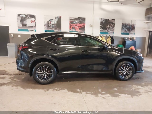 2T2GGCEZ3RC059786 Lexus Nx 350 Premium