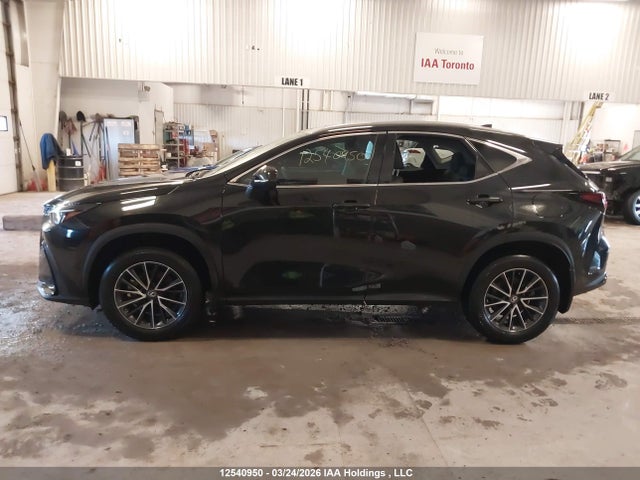 2T2GGCEZ3RC059786 Lexus Nx 350 Premium