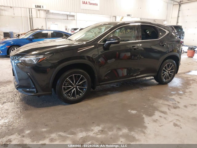 2T2GGCEZ3RC059786 Lexus Nx 350 Premium