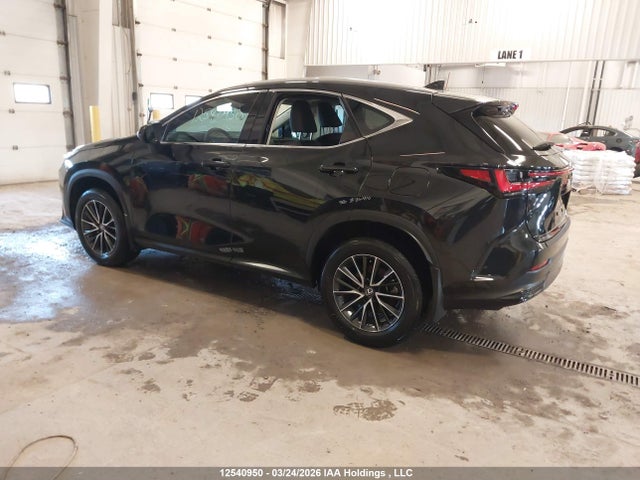 2T2GGCEZ3RC059786 Lexus Nx 350 Premium