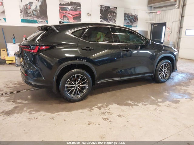 2T2GGCEZ3RC059786 Lexus Nx 350 Premium