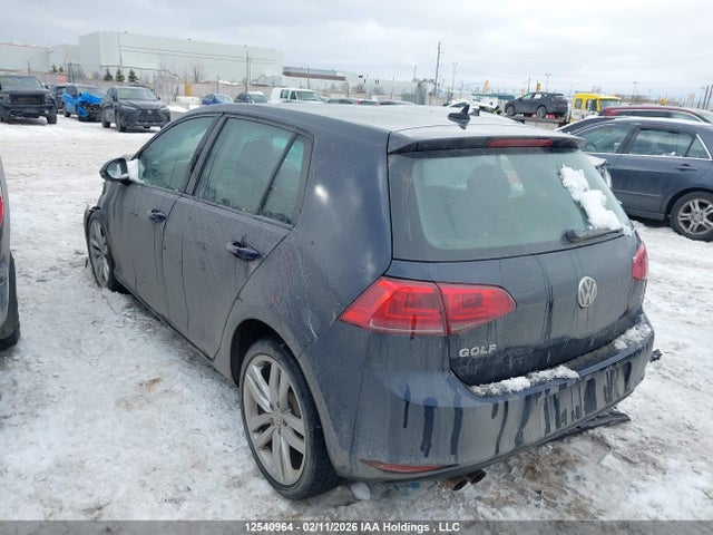 3VW117AU1HM031291 Volkswagen Golf S/wolfsburg