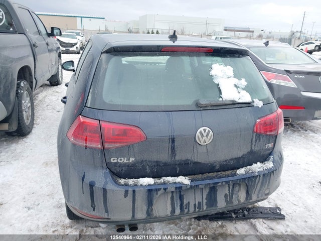 3VW117AU1HM031291 Volkswagen Golf S/wolfsburg