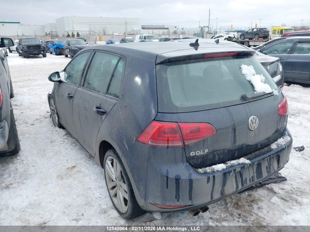3VW117AU1HM031291 Volkswagen Golf S/wolfsburg