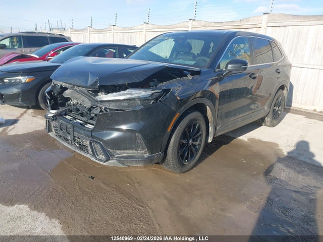 Aukcja sprzedaży 2024 Honda Cr-v Hybrid, vin: 2HKRS6H72RH204191, numer aukcji: 12540969