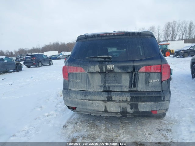 5FNYF6H75JB501264 Honda Pilot Ex-l Navi