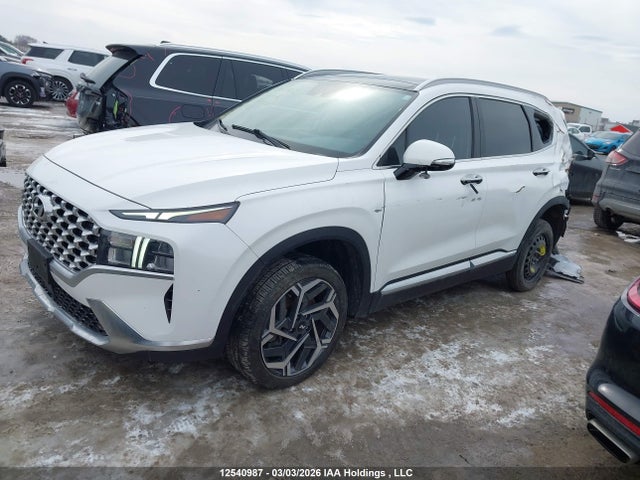 Hyundai Santa Fe Limited 2023 KM8S5DA19PU099554 Image 2