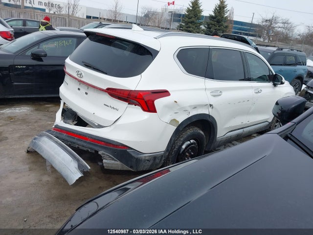 Hyundai Santa Fe Limited 2023 KM8S5DA19PU099554 Image 4