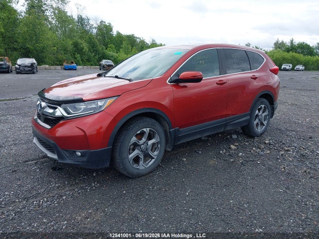 Aukcja sprzedaży 2019 Honda Cr-v Ex-l, vin: 2HKRW2H80KH126151, numer aukcji: 12541001