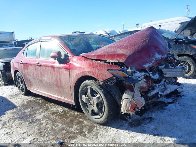 4T1J11AK2LU307184 Toyota CAMRY SE