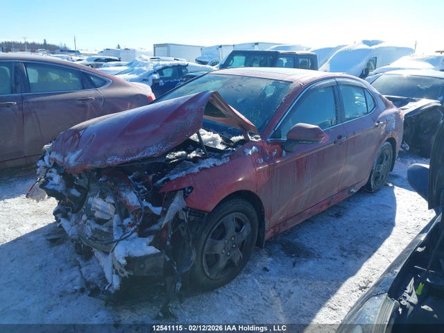 4T1J11AK2LU307184 Toyota CAMRY SE