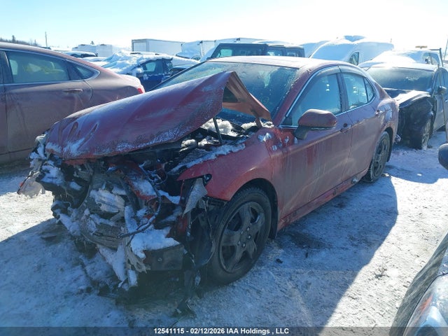 4T1J11AK2LU307184 Toyota CAMRY SE