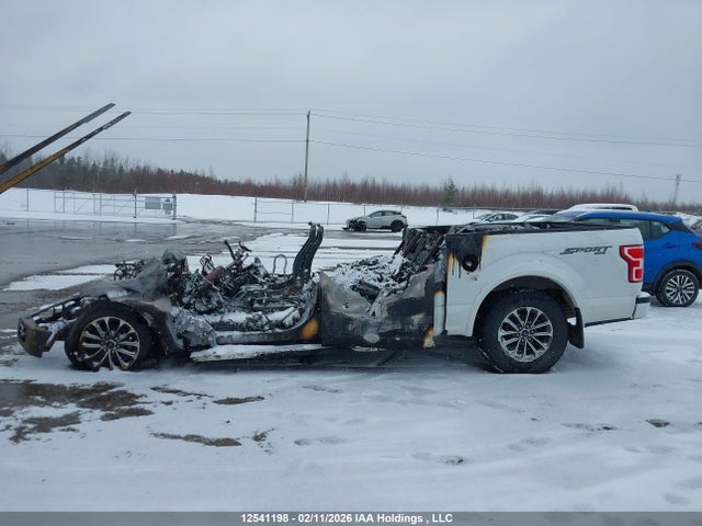 Aukcja sprzedaży 2019 Ford F150 Supercrew, vin: 1FTEW1EP6KFB30526, numer aukcji: 12541198