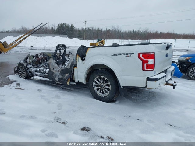 Aukcja sprzedaży 2019 Ford F150 Supercrew, vin: 1FTEW1EP6KFB30526, numer aukcji: 12541198
