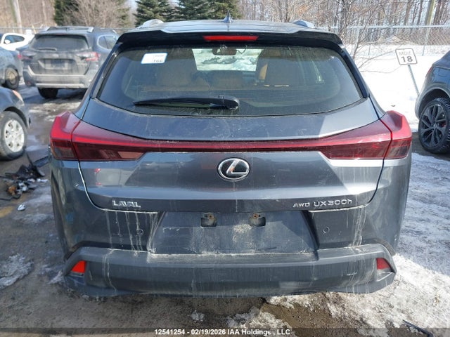 JTHUCJDH6S2002971 Lexus Ux 300h