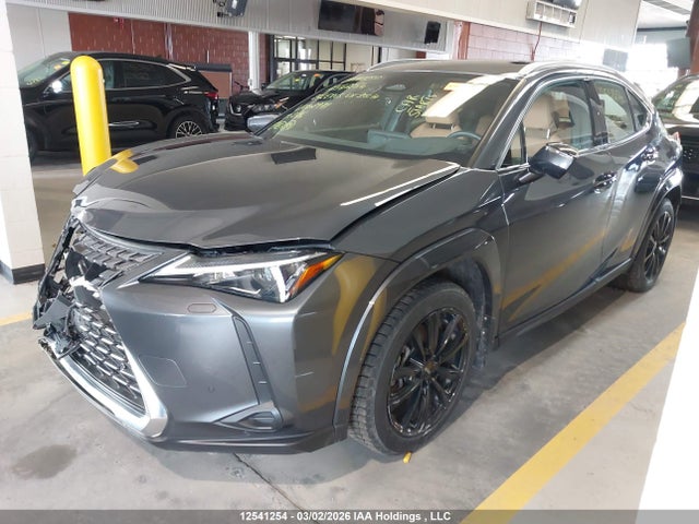 JTHUCJDH6S2002971 Lexus Ux 300h