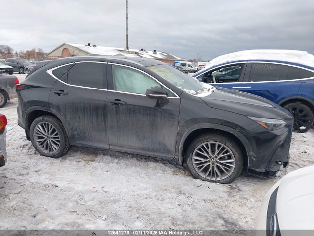 Lexus Nx 350h 350h 2024 2T2GKCEZ4RC016699 Image 13