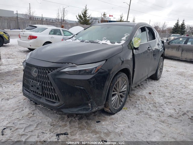 Lexus Nx 350h 350h 2024 2T2GKCEZ4RC016699 Image 2