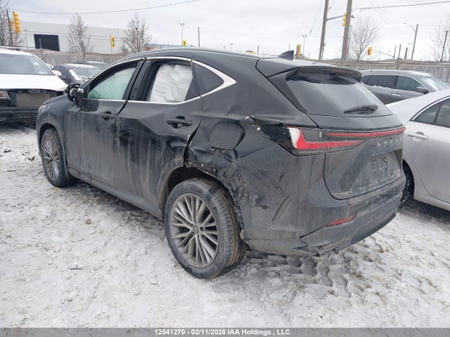 Lexus Nx 350h 350h 2024 2T2GKCEZ4RC016699 Image 3
