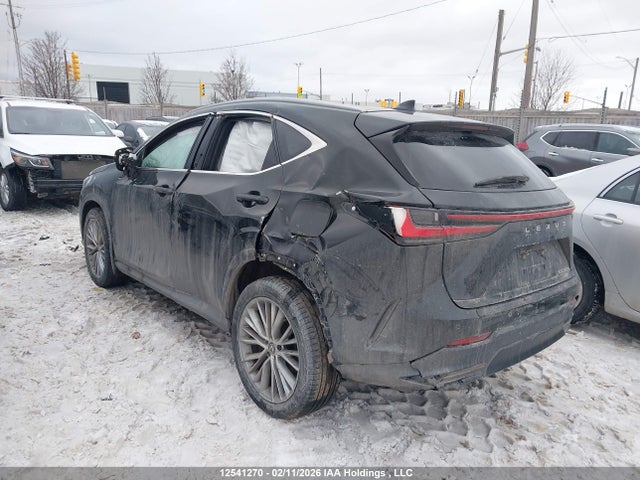 Lexus Nx 350h 350h 2024 2T2GKCEZ4RC016699 Image 6