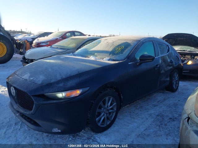 Продаж на аукціоні авто 2024 Mazda Mazda3 Gs, vin: JM1BPBLM4R1704434, номер лоту: 12541355