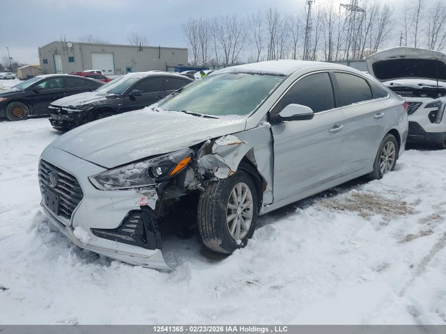 5NPE24AF7JH616096 Hyundai SONATA GL