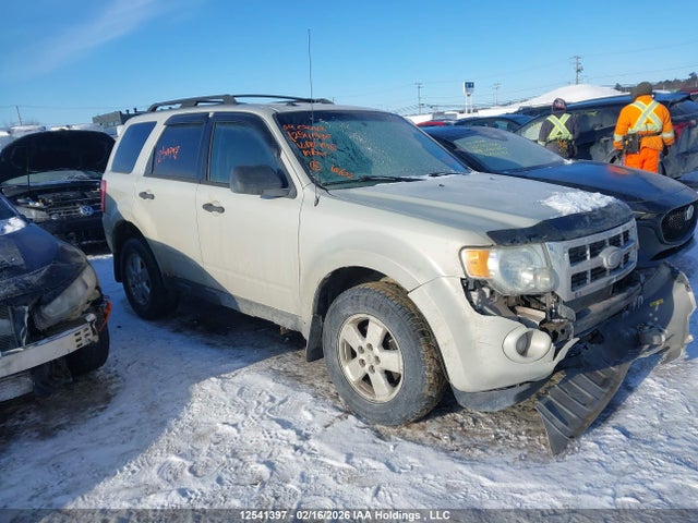 Auction sale of the 2009 Ford Escape, vin: 1FMCU03G89KD12798, lot number: 12541397