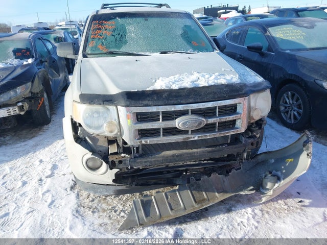 Aukcja sprzedaży 2009 Ford Escape, vin: 1FMCU03G89KD12798, numer aukcji: 12541397