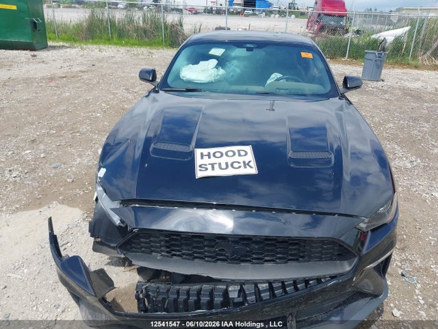 Продаж на аукціоні авто 2019 Ford Mustang Ecoboost Premium, vin: 1FA6P8TH3K5164358, номер лоту: 12541547