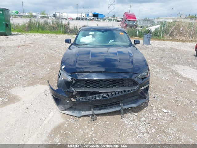 Продаж на аукціоні авто 2019 Ford Mustang Ecoboost Premium, vin: 1FA6P8TH3K5164358, номер лоту: 12541547