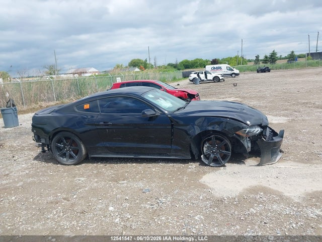 Продаж на аукціоні авто 2019 Ford Mustang Ecoboost Premium, vin: 1FA6P8TH3K5164358, номер лоту: 12541547