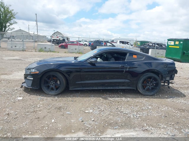 Продаж на аукціоні авто 2019 Ford Mustang Ecoboost Premium, vin: 1FA6P8TH3K5164358, номер лоту: 12541547