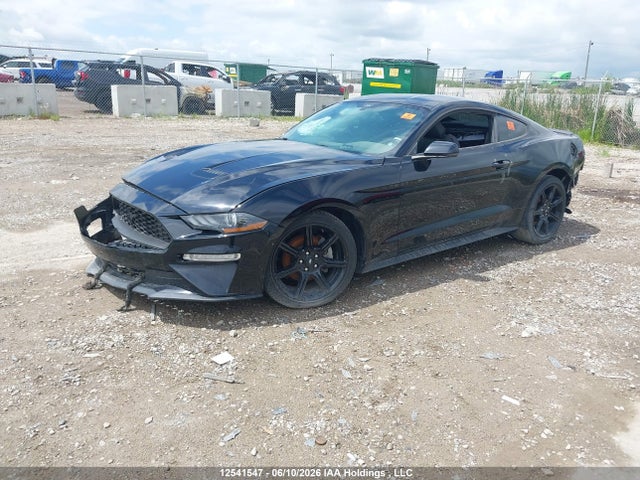 Продаж на аукціоні авто 2019 Ford Mustang Ecoboost Premium, vin: 1FA6P8TH3K5164358, номер лоту: 12541547